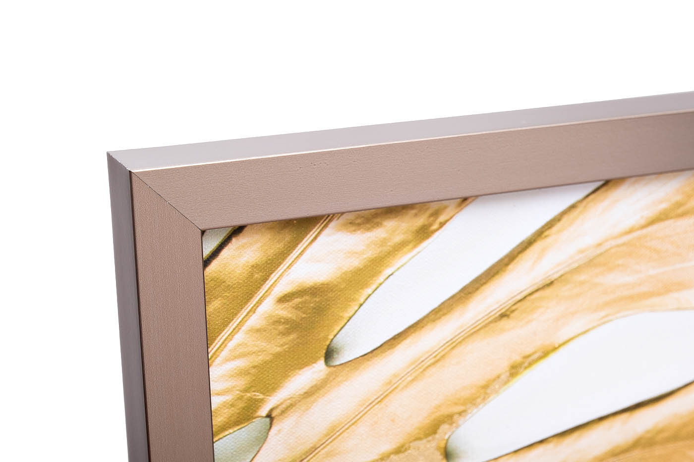 89VOR-MONSTERA GOLDEN-1 Холст "Золотые листья монстеры-1" 100х70 см, багет( латунь),поталь
